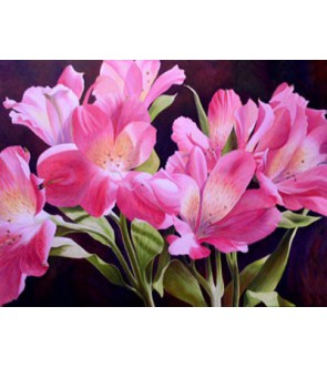 Fresie semplici rosa Rosalinde